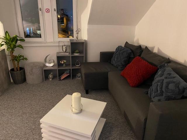 63A Innes St インヴァネス エクステリア 写真